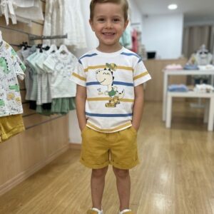 conjunto dino rayas